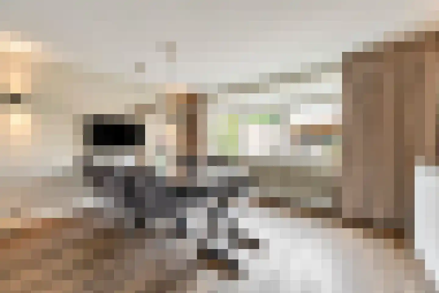Koperslagerstraat 24 Huissen thumbnail 11