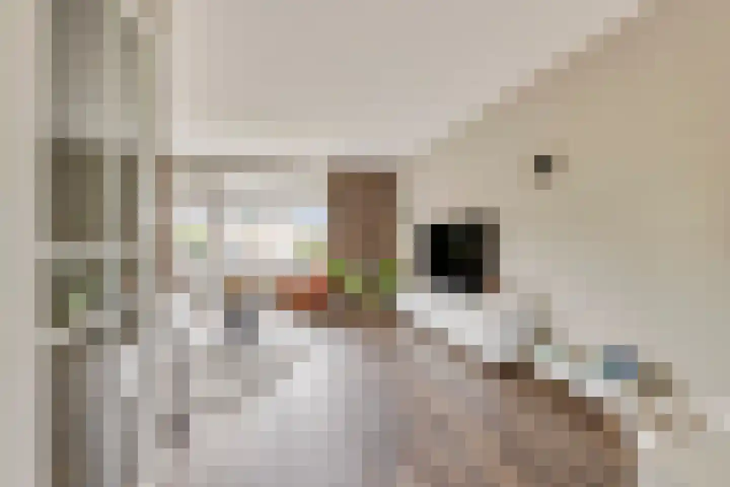 Koperslagerstraat 24 Huissen thumbnail 17