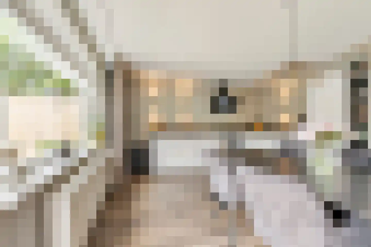 Koperslagerstraat 24 Huissen thumbnail 9