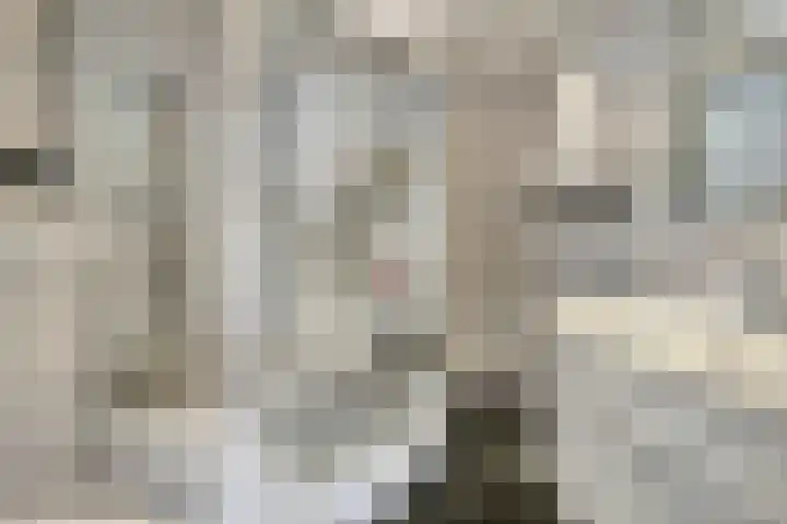 Koperslagerstraat 3 Baarlo thumbnail 21