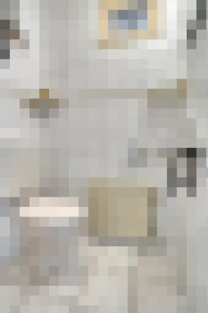 Koperslagerstraat 3 Baarlo thumbnail 5