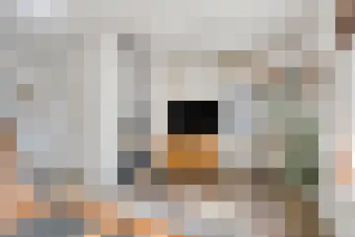 Koperslagerstraat 3 Baarlo thumbnail 8