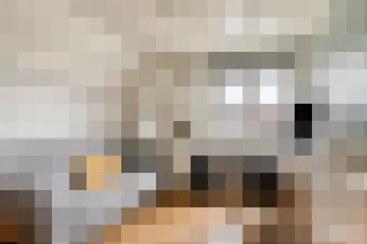 Koperslagerstraat 3 Well L thumbnail 23