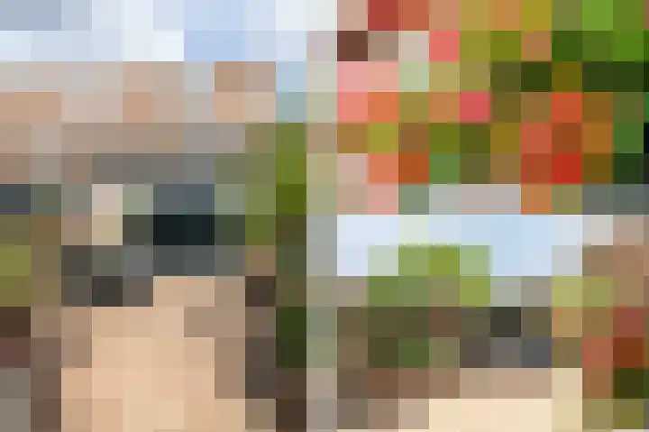 Koperslagerstraat 30 Purmerend thumbnail 34