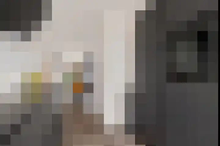 Koperslagerstraat 49 Zwolle thumbnail 11