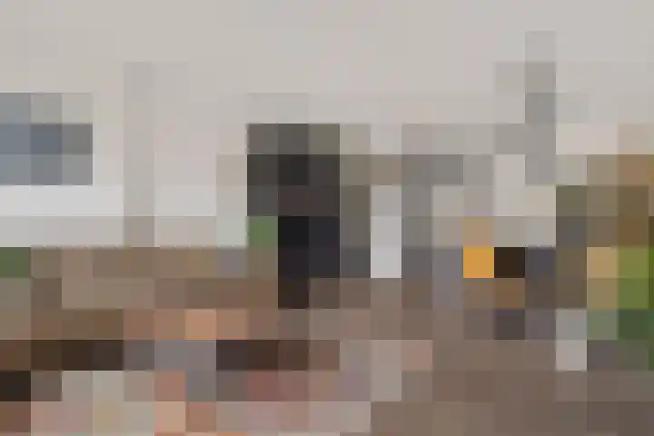 Koperslagerstraat 49 Zwolle thumbnail 4