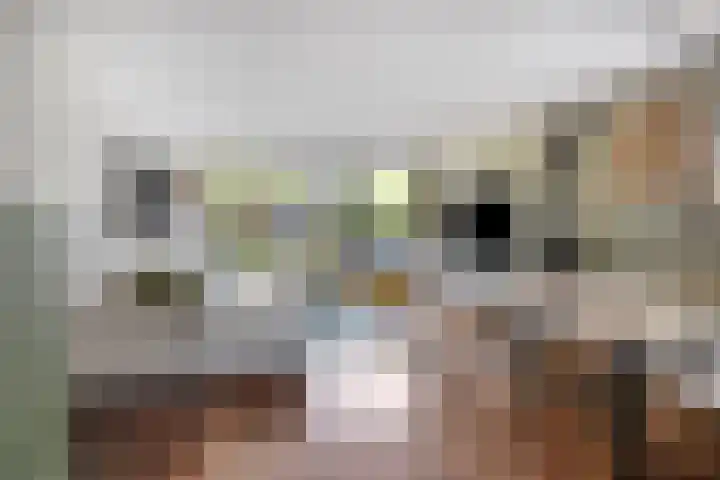 Koperslagerstraat 59 Zwolle thumbnail 5