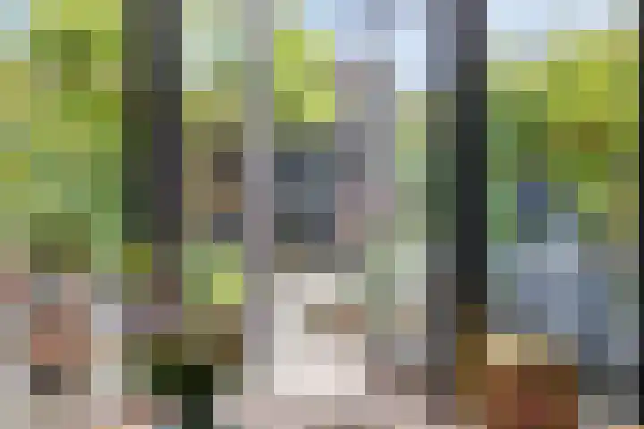 Koperslagerstraat 59 Zwolle thumbnail 8