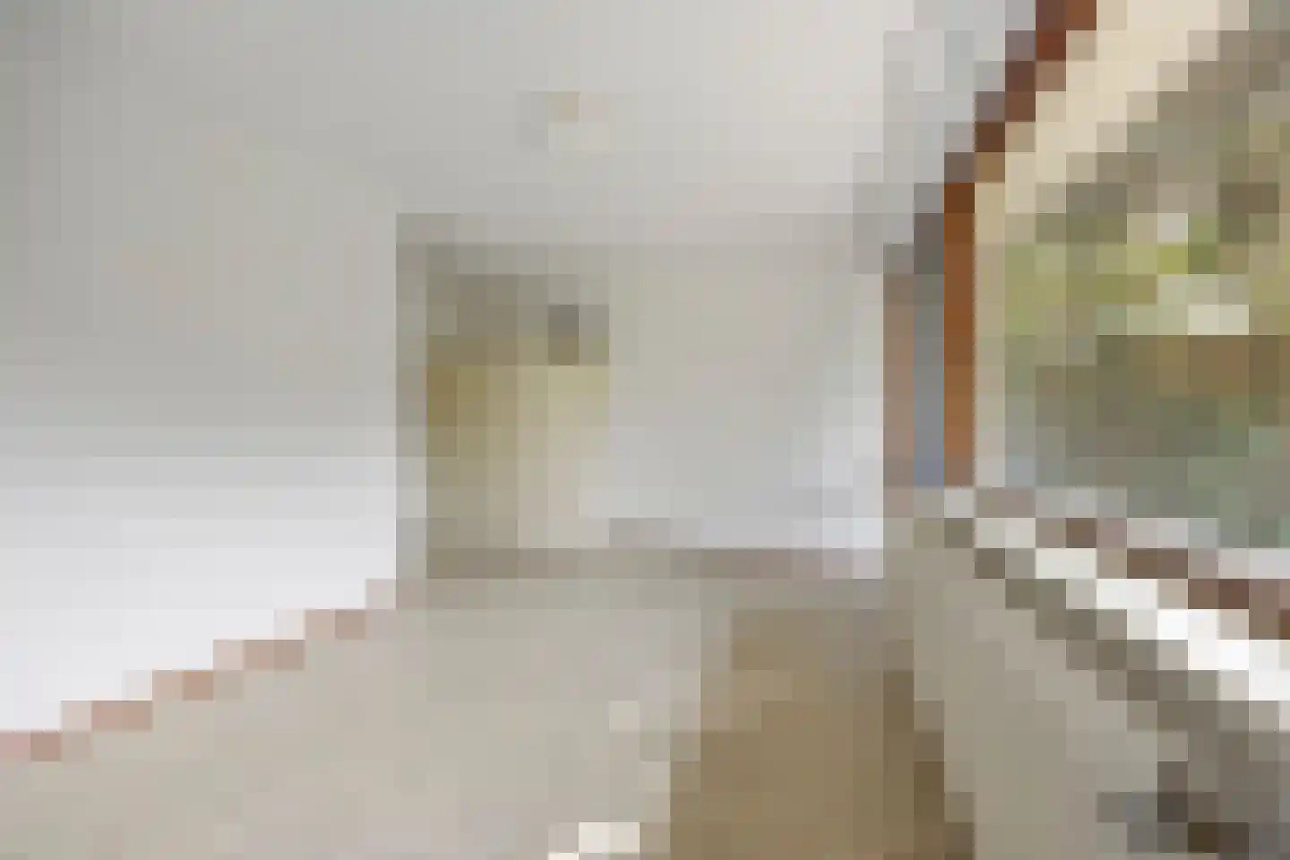 Koperslagerstraat 72 Huissen thumbnail 14