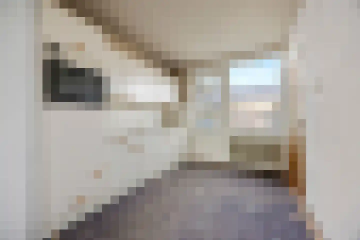 Koperslagerstraat 72 Huissen foto 3