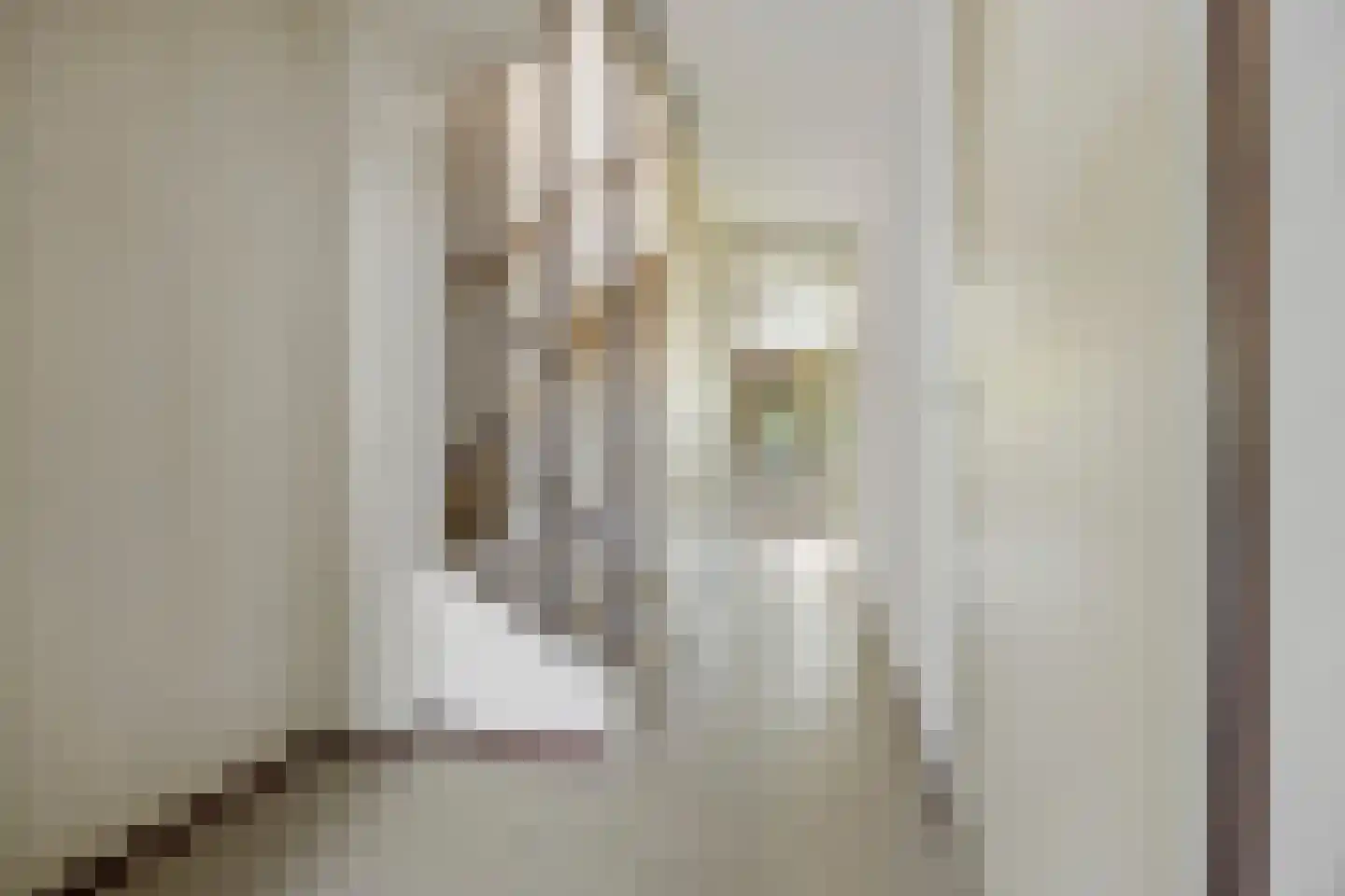 Koperslagerstraat 72 Huissen thumbnail 5