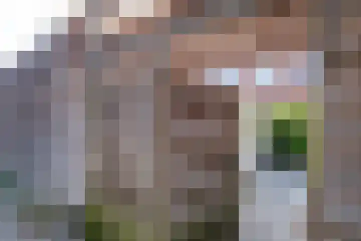 Koperslagerstraat 77 Zwolle thumbnail 32