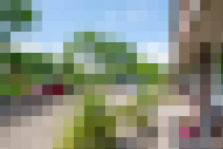 Koperslagerstraat 77 Zwolle thumbnail 37