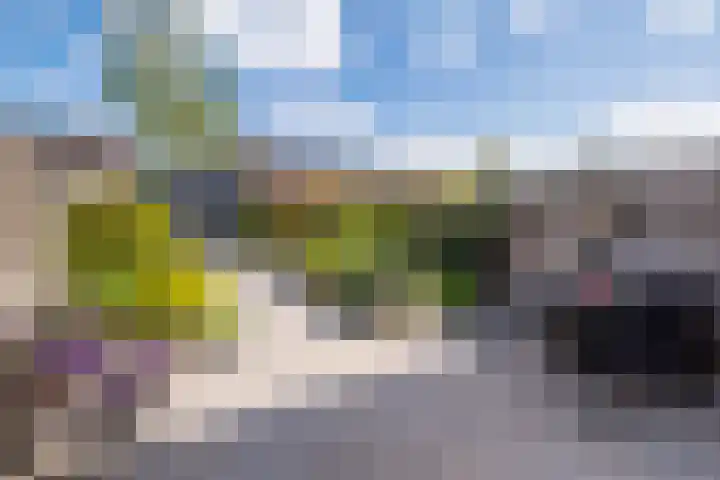 Koperslagerstraat 77 Zwolle thumbnail 5
