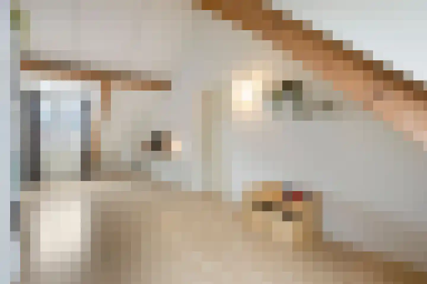Kopersteeg 12 Helmond thumbnail 35