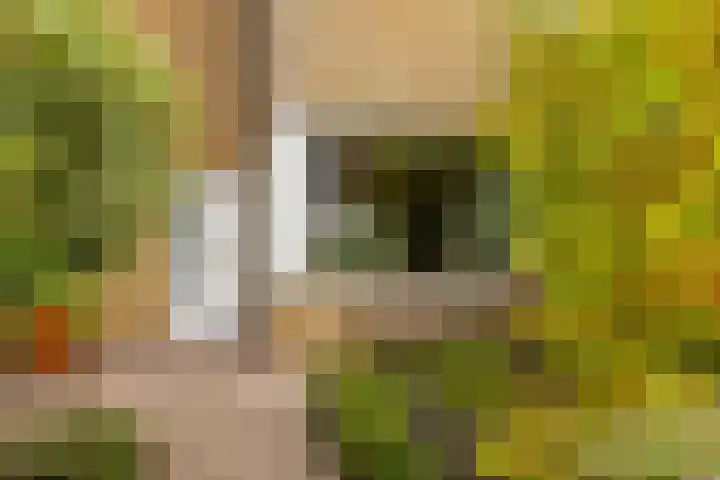 Koperstraat 19 Groningen thumbnail 10