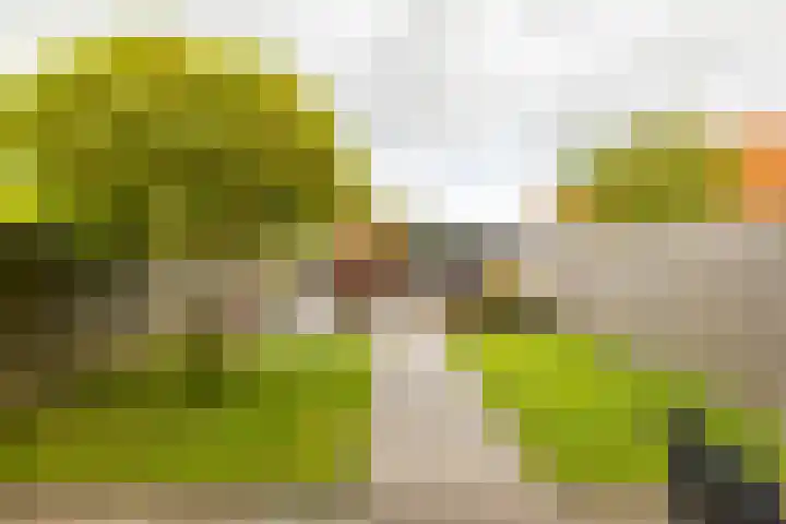 Koperstraat 19 Groningen thumbnail 27