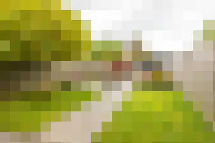 Koperstraat 19 Groningen thumbnail 28