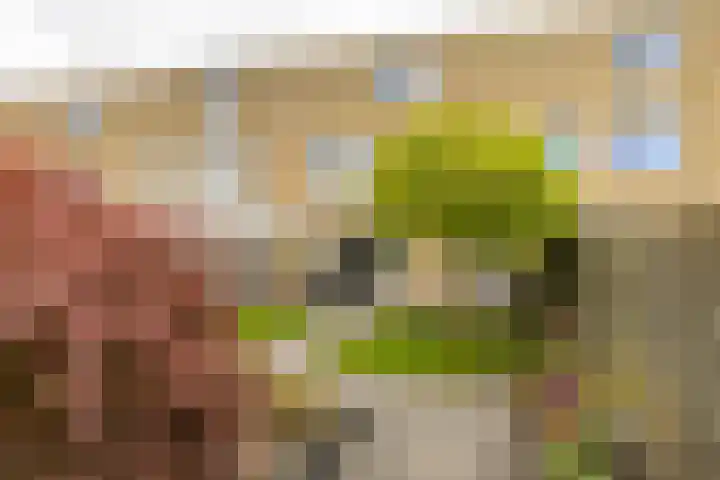 Koperstraat 19 Groningen thumbnail 33