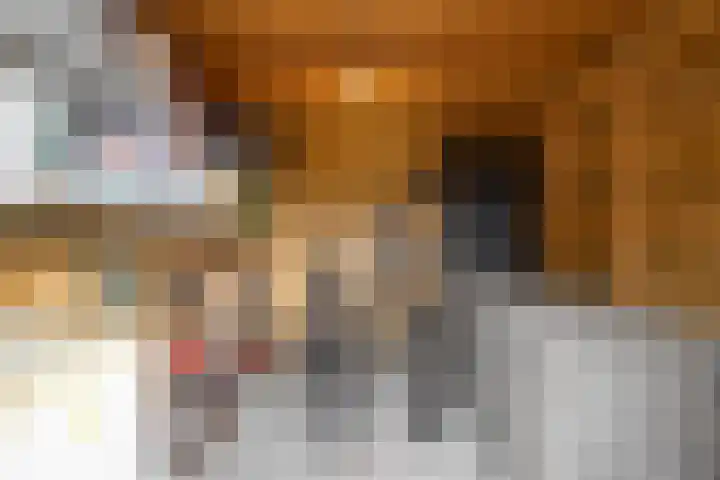 Koperstraat 19 Groningen thumbnail 35