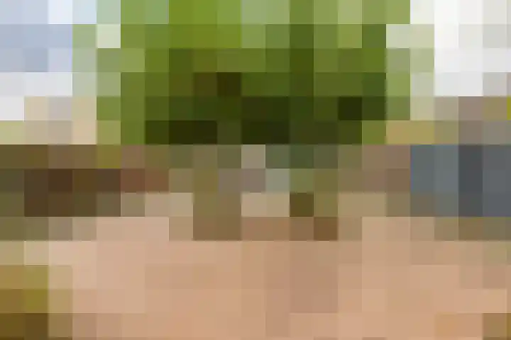 Koperstraat 19 Groningen thumbnail 37