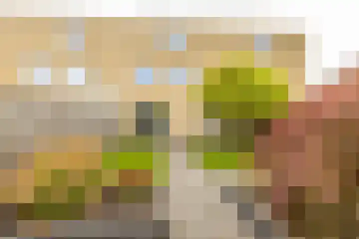 Koperstraat 19 Groningen thumbnail 38