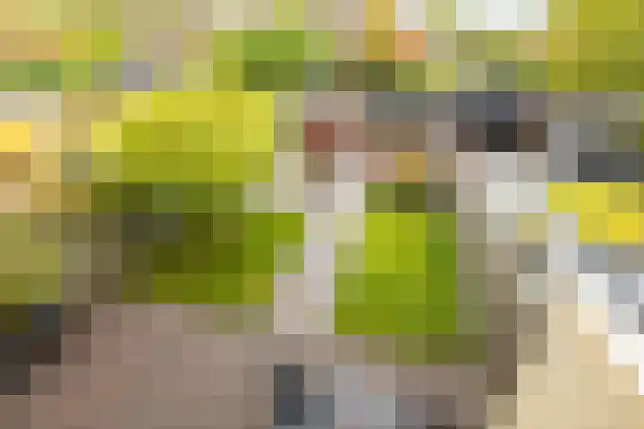 Koperstraat 19 Groningen thumbnail 42