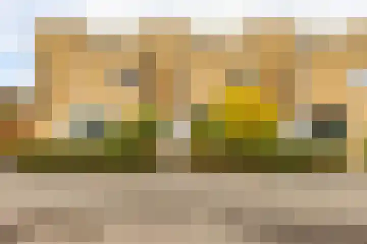 Koperstraat 19 Groningen thumbnail 9