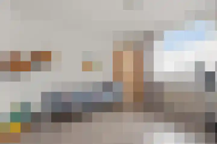 Kopervlinder 1 Amersfoort thumbnail 20