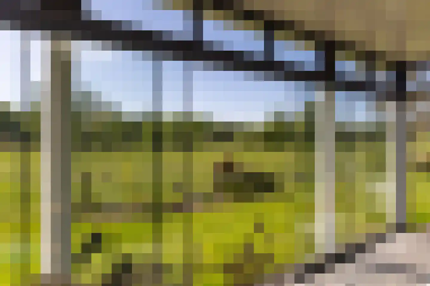 Koperweg 11 Nijkerk thumbnail 15