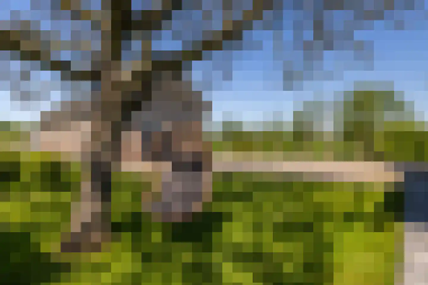 Koperweg 11 Nijkerk thumbnail 40