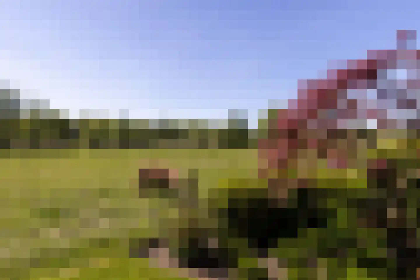 Koperweg 11 Nijkerk thumbnail 48