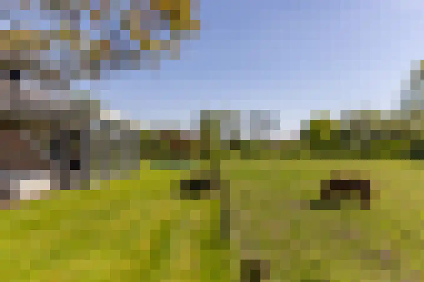Koperweg 11 Nijkerk thumbnail 49