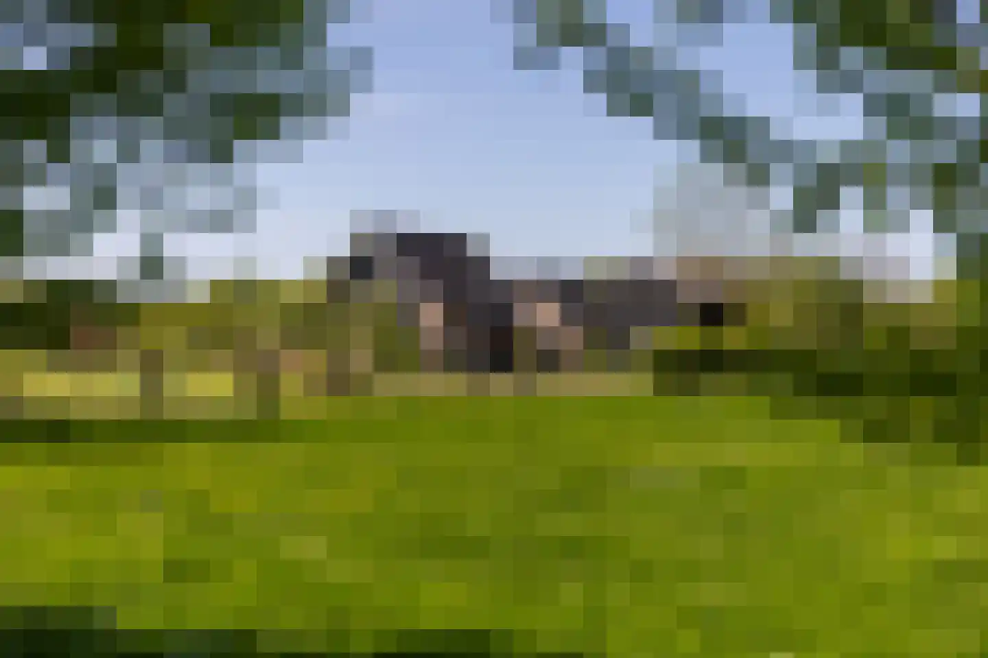 Koperweg 11 Nijkerk thumbnail 57