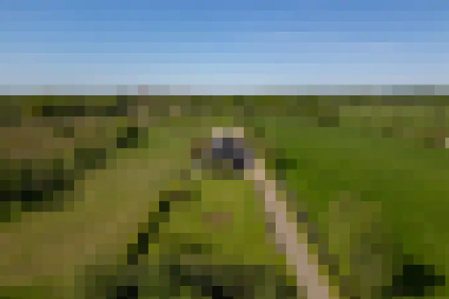 Koperweg 11 Nijkerk thumbnail 60
