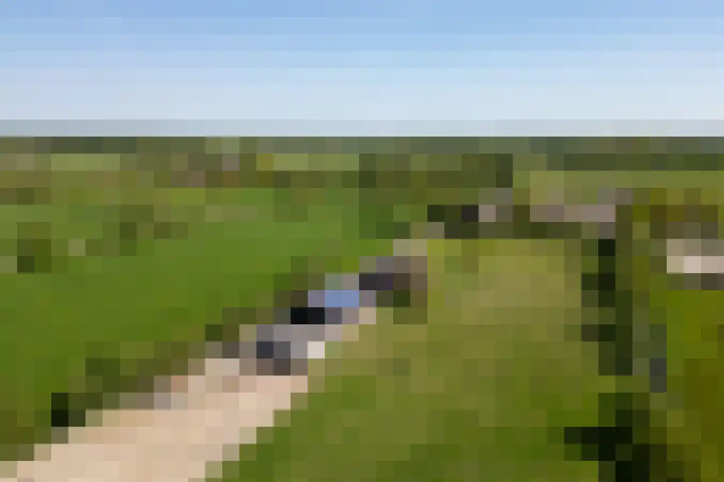 Koperweg 11 Nijkerk thumbnail 61