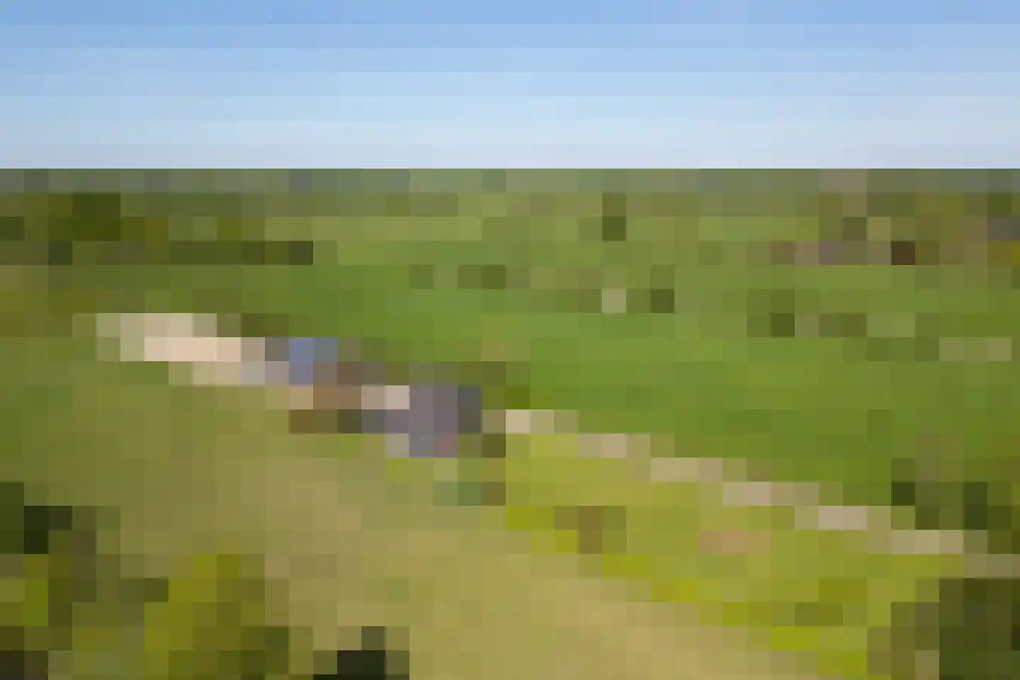 Koperweg 11 Nijkerk thumbnail 62