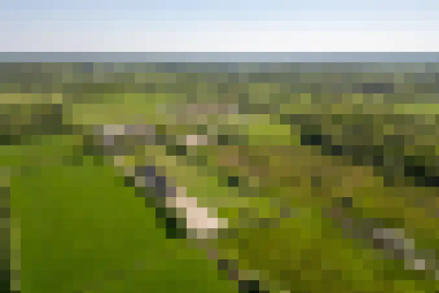 Koperweg 11 Nijkerk thumbnail 63
