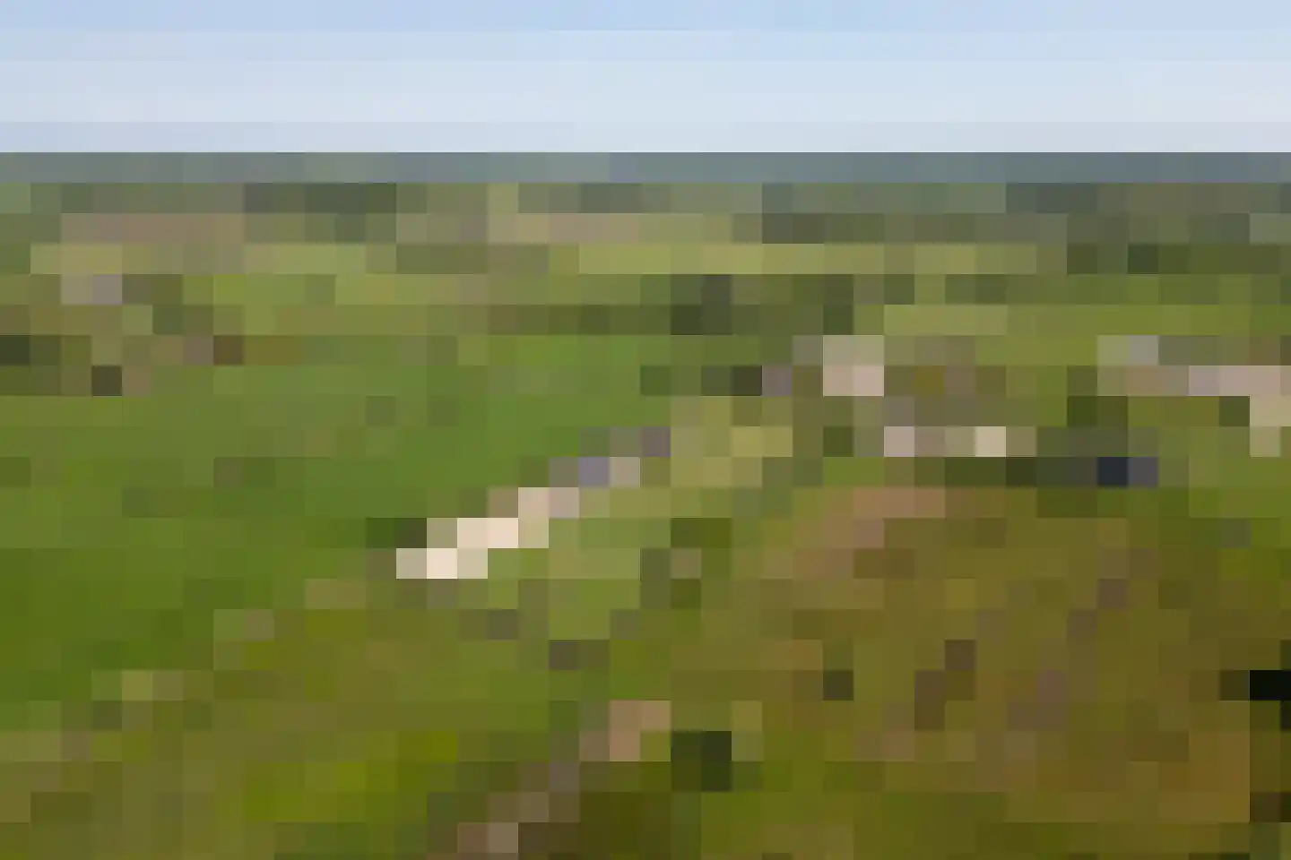 Koperweg 11 Nijkerk thumbnail 64