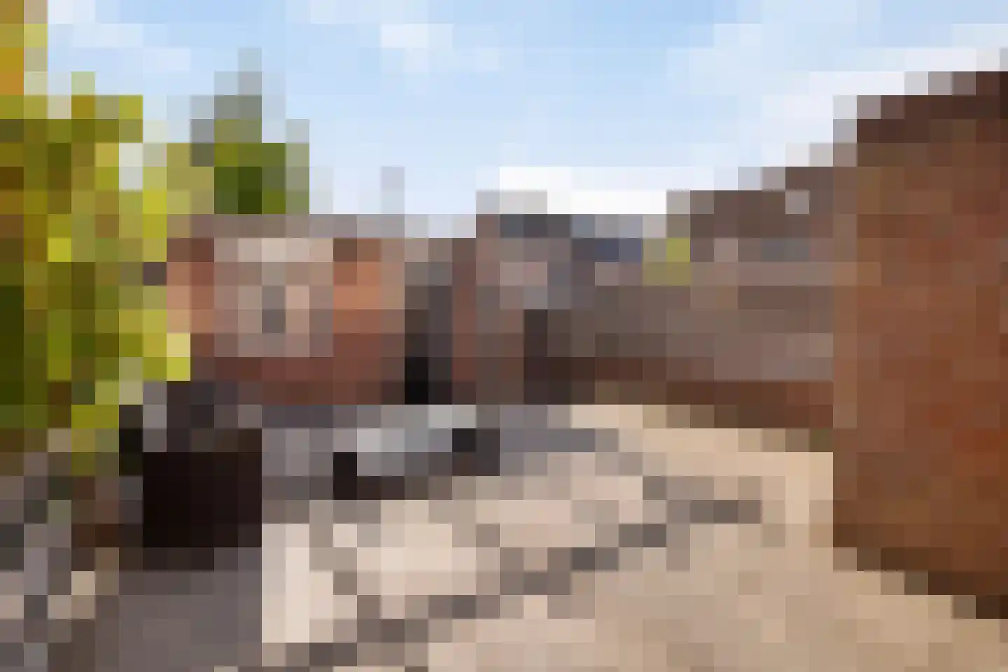 Koperwiek 1 Deventer thumbnail 5