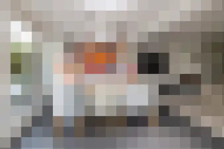 Koperwiek 1 Raalte thumbnail 11