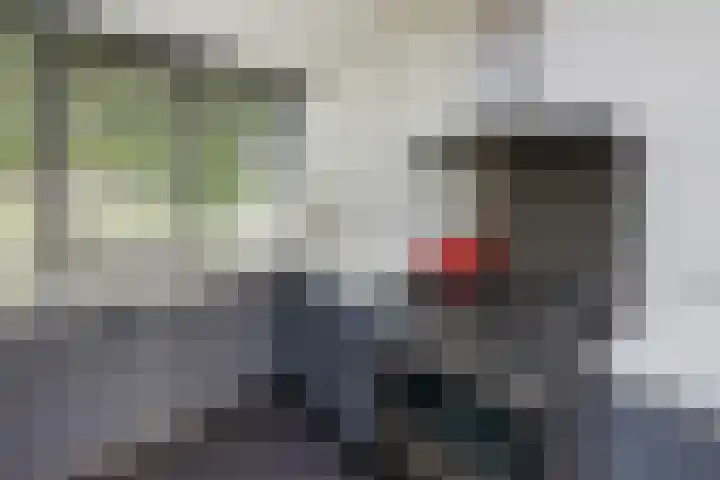 Koperwiek 1 Raalte thumbnail 15