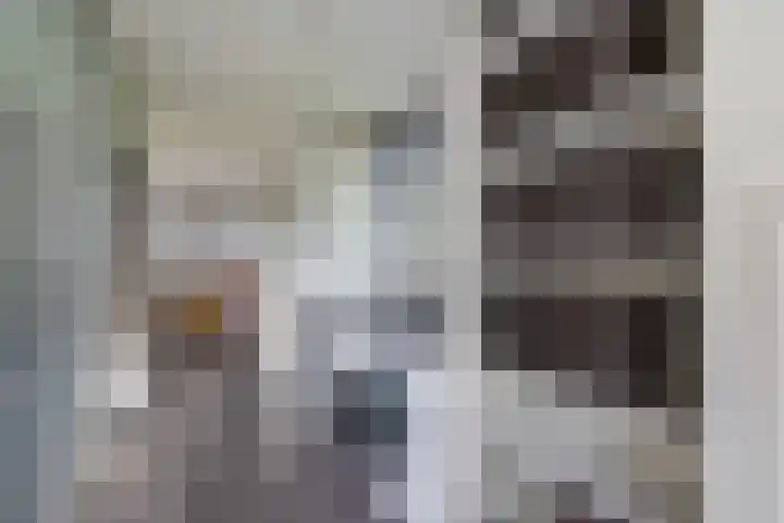 Koperwiek 1 Raalte thumbnail 18