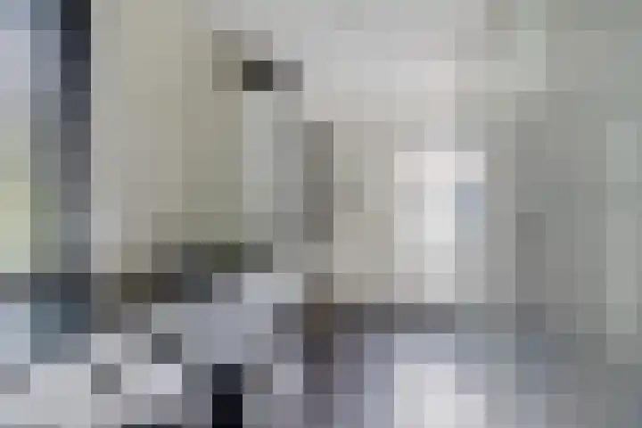 Koperwiek 1 Raalte thumbnail 19