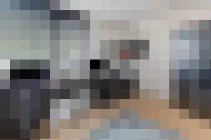 Koperwiek 1 Raalte thumbnail 24