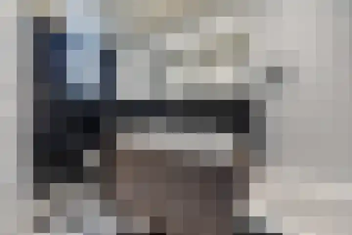 Koperwiek 1 Raalte thumbnail 27
