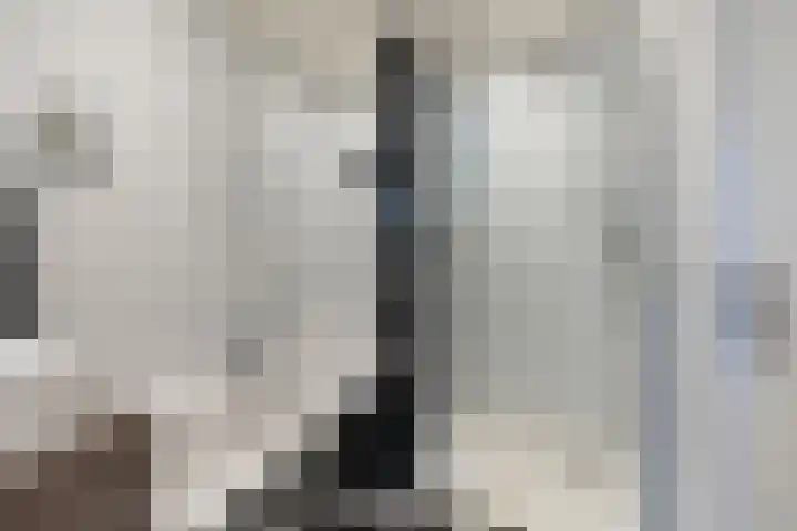 Koperwiek 1 Raalte thumbnail 29