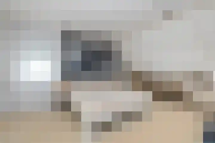 Koperwiek 1 Raalte thumbnail 30