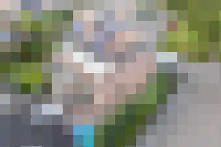 Koperwiek 1 Raalte thumbnail 33