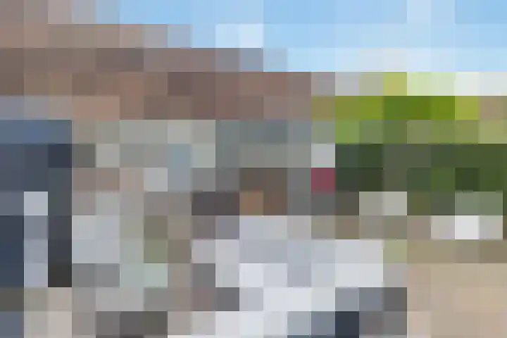 Koperwiek 1 Raalte thumbnail 35